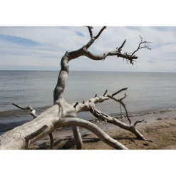 Akustiikkataulu Yeseco Quiet 240x160 cm kollaasi 6 kpl 80x80 cm eri kuvia (myös omalla kuvalla)