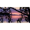 Akustiikkataulu Yeseco Quiet 120x60 cm kollaasi 2 kpl 60x60 cm eri kuvia (myös omalla kuvalla)