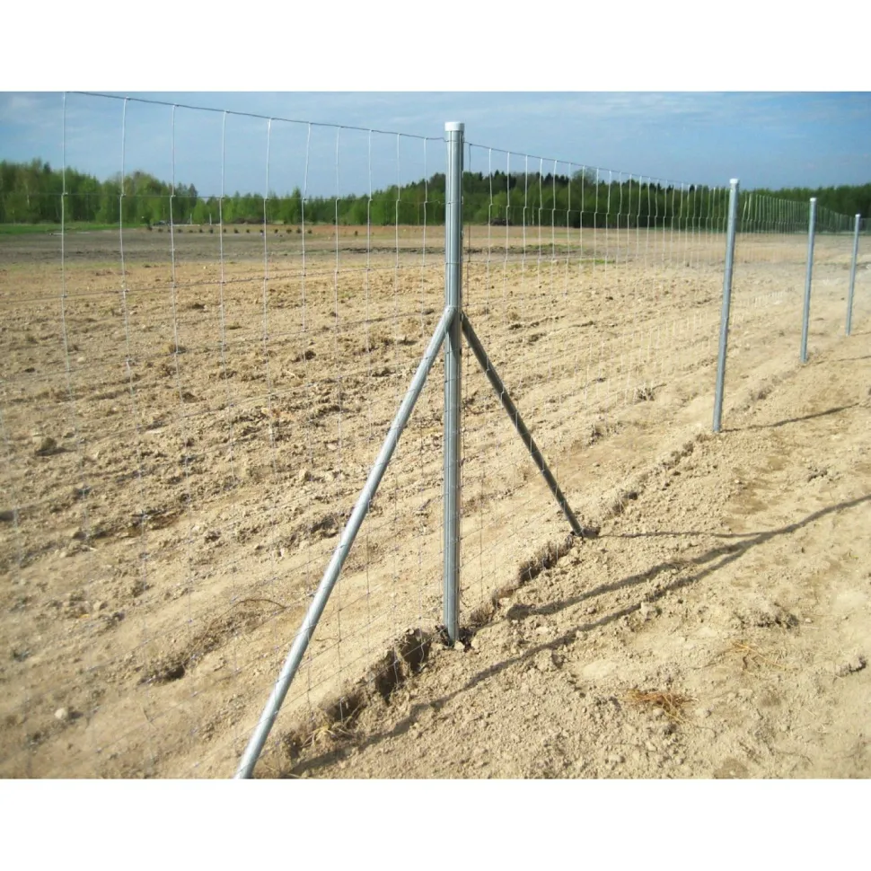 Eläinverkko Zn 1,5x50 m muuttuva silmäkoko