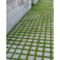 Hulevesikivi Grass 115x115x80mm harmaa