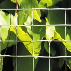 Jyrsijäverkko Hortus, 0,6x50 m harmaa rauta