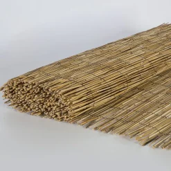 Kaislasermi Home4You IN GARDEN 500x100 cm, beige