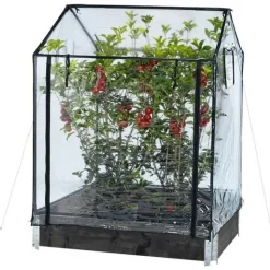 Kasvihuone lavakaulukselle Hortus 115x76x110/130 cm