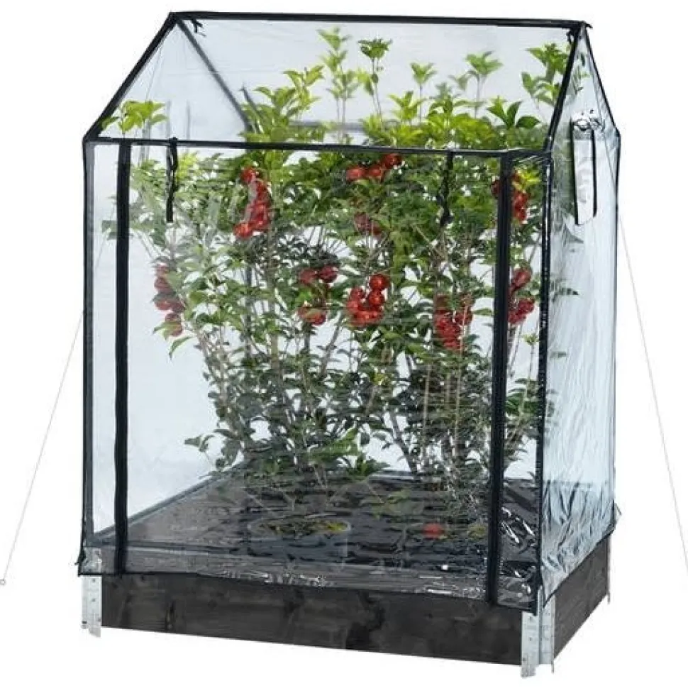 Kasvihuone lavakaulukselle Hortus 115x76x110/130 cm