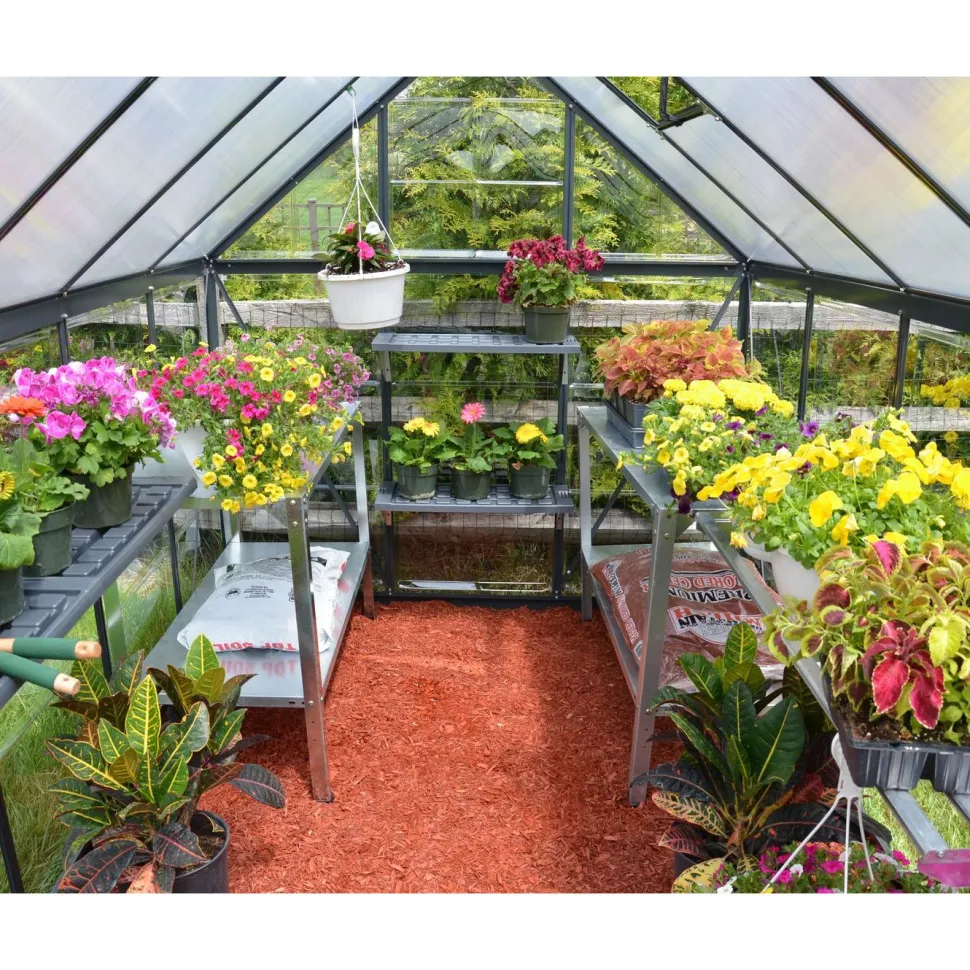 Kasvihuone Palram-Canopia Hybrid 5,7 m² 6x10 ft harmaa