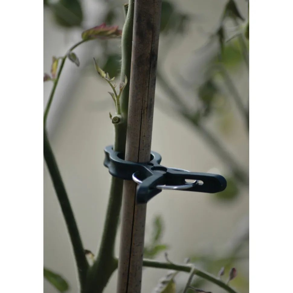 Kasvipidike Nelson Garden, 10kpl S ja 10kpl L