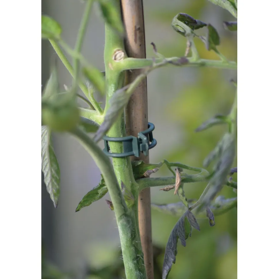 Kasvipidike Nelson Garden Strong, 12kpl