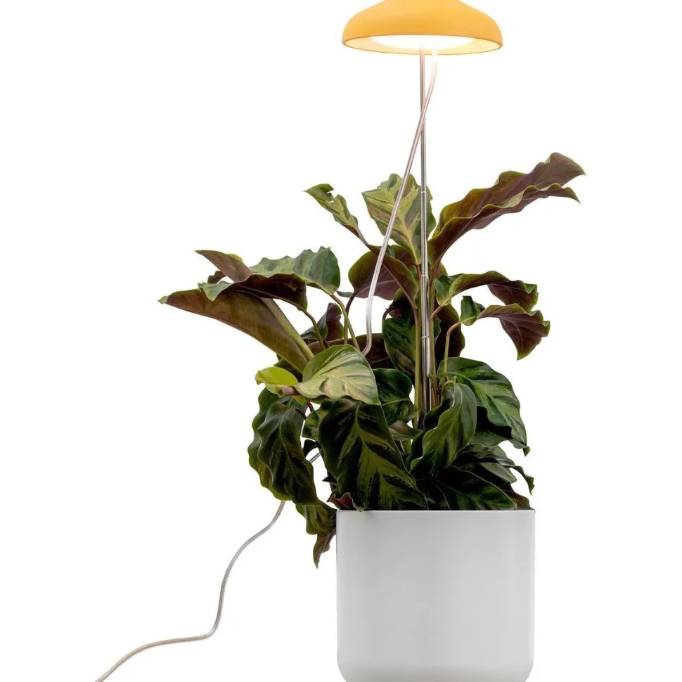 Kasvivalaisin Airam Iris, 5W, 240lm, IP20