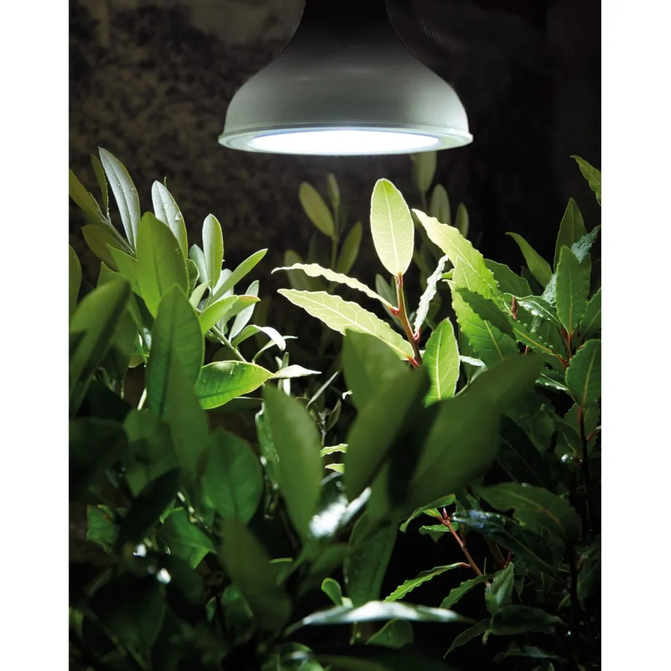 Kasvivalo Nelson Garden LED-lamppu, 18W, E27