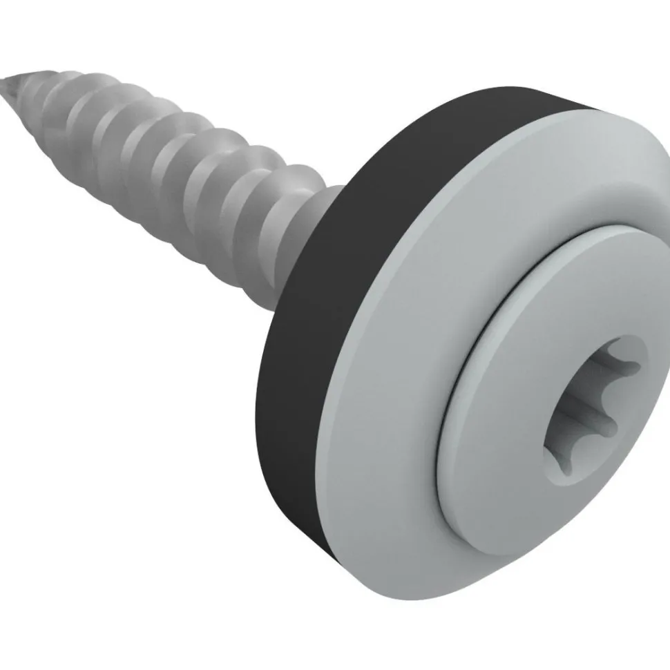 Kateruuvi Ruukki Viktoria, 4.8x28mm, torx, 100 kpl, eri värejä