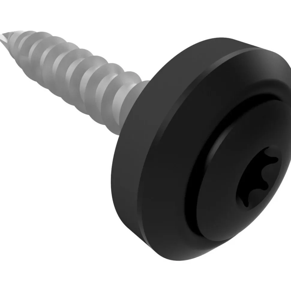 Kateruuvi Ruukki Viktoria, 4.8x28mm, torx, 100 kpl, eri värejä