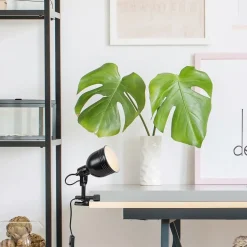 Klipsivalaisin Rabalux Flint, Ø11cm, 1xE14, eri värejä