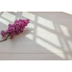 Kovetettu puulattia Bjelin Tammi Dalby 3.0 Powder White, mattalakattu, eri kokoja