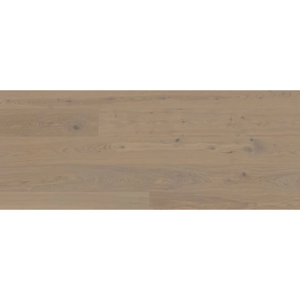 Kovetettu puulattia Bjelin Tammi Stehag 3.0 Earth Grey, mattalakattu, eri kokoja