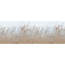 Kuvatapetti Rebel Walls Swaying Reed non-woven mittatilaus