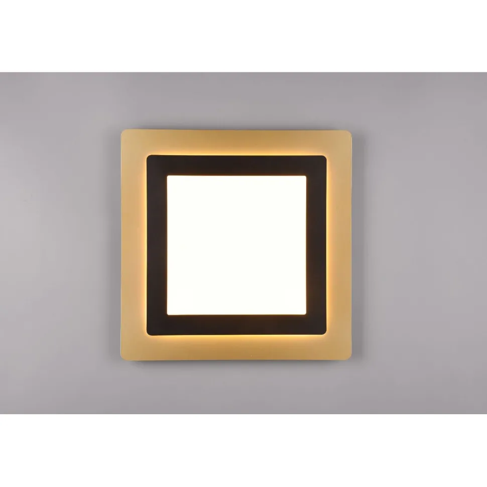 LED-kattovalaisin Trio Morgan, 45x45cm, eri värejä