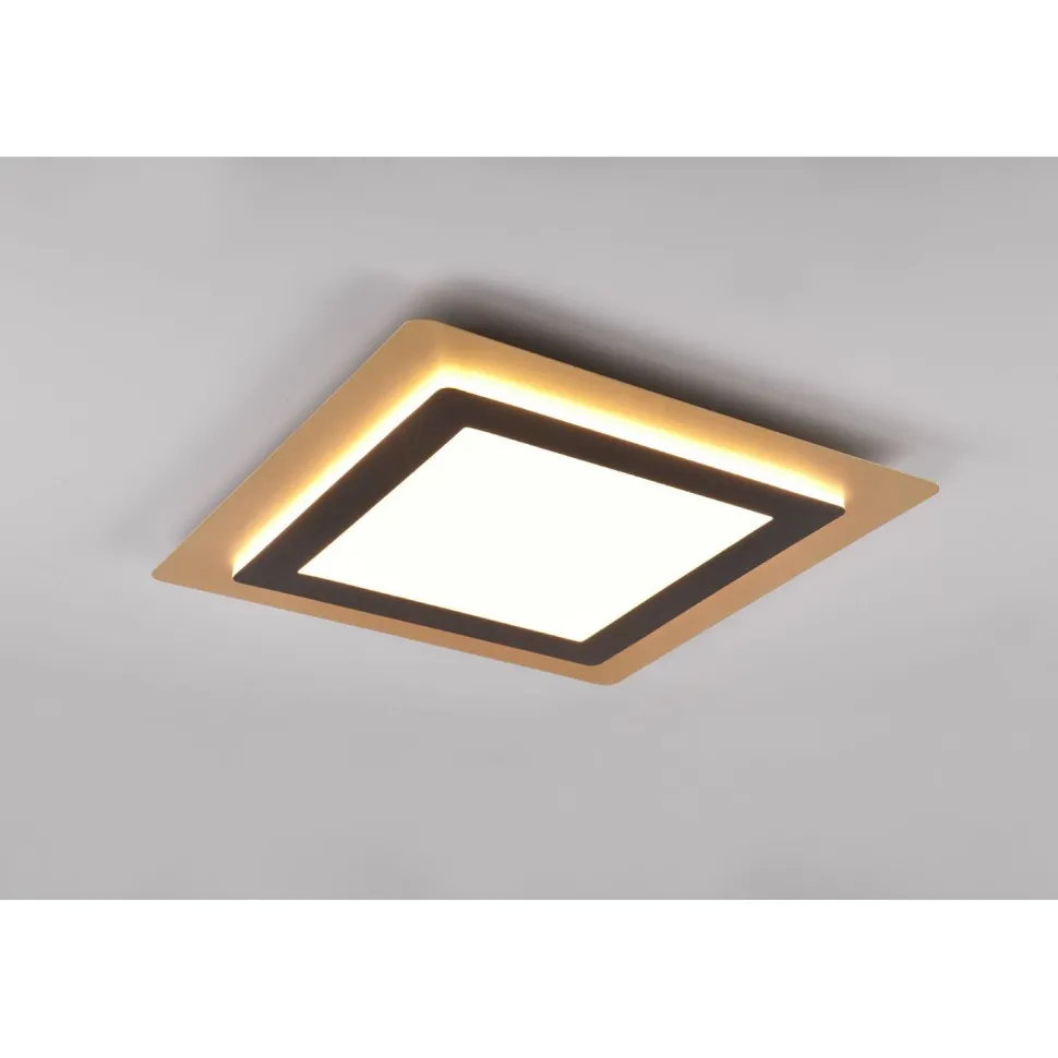 LED-kattovalaisin Trio Morgan, 45x45cm, eri värejä