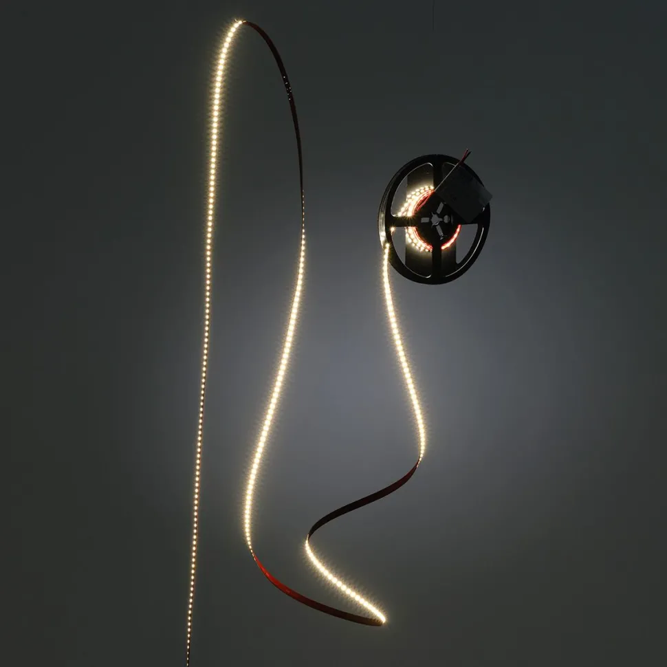 LED-nauha FTLIGHT Premium, 24V, 130lm/W, IP20, 5m, eri vaihtoehtoja