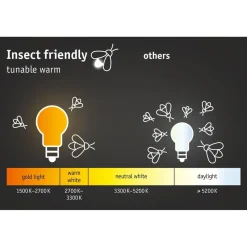 LED-numerovalaisin liike- ja hämärätunnistimella Paulmann Sheera, Smart Home Zigbee 3.0, IP44, 27.6x7.3cm, antrasiitti