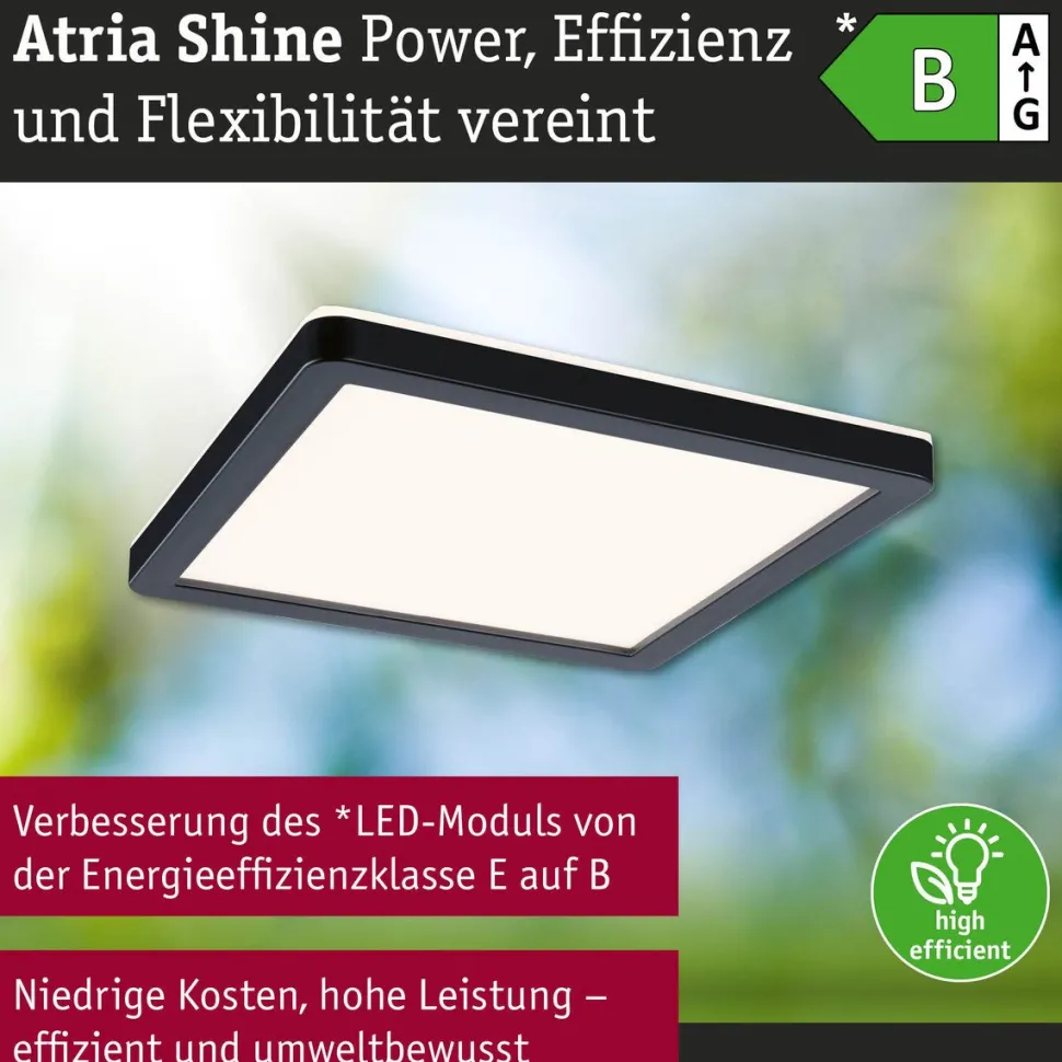 LED-paneeli Paulmann Atria Shine, kulmikas, IP44, 3000-6500K, eri kokoja