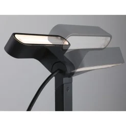 LED-puutarhaspotti Paulmann Plug & Shine Ito, IP65, 3000K, vaakasuuntainen säätö, antrasiitti