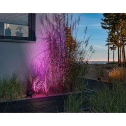 LED-puutarhaspotti Paulmann Plug & Shine Kikolo, Smart Home Zigbee 3.0, IP65, RGBW+, antrasiitti