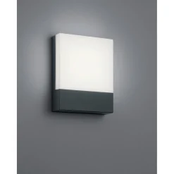 LED-seinävalaisin Trio Pecos 200x160 mm antrasiitti