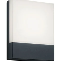 LED-seinävalaisin Trio Pecos 200x160 mm antrasiitti