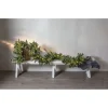 LED-valaistu havuköynnös Star Trading Greyland, 300cm, vihreä