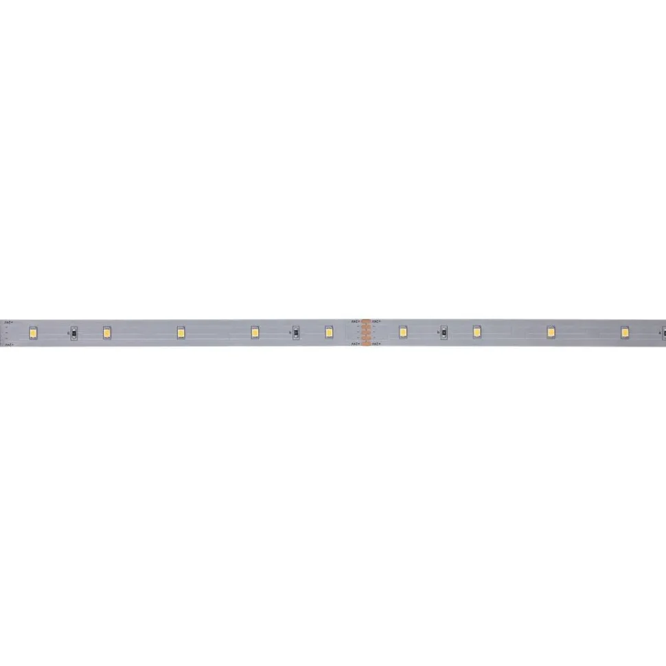 LED-valonauha Paulmann MaxLED 250, 300lm/m, 2700K, eri kokoja