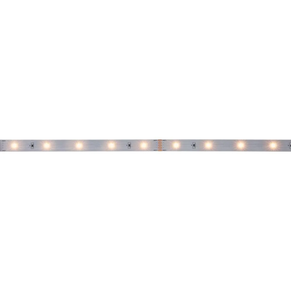 LED-valonauha Paulmann MaxLED 250, 300lm/m, 2700K, eri kokoja