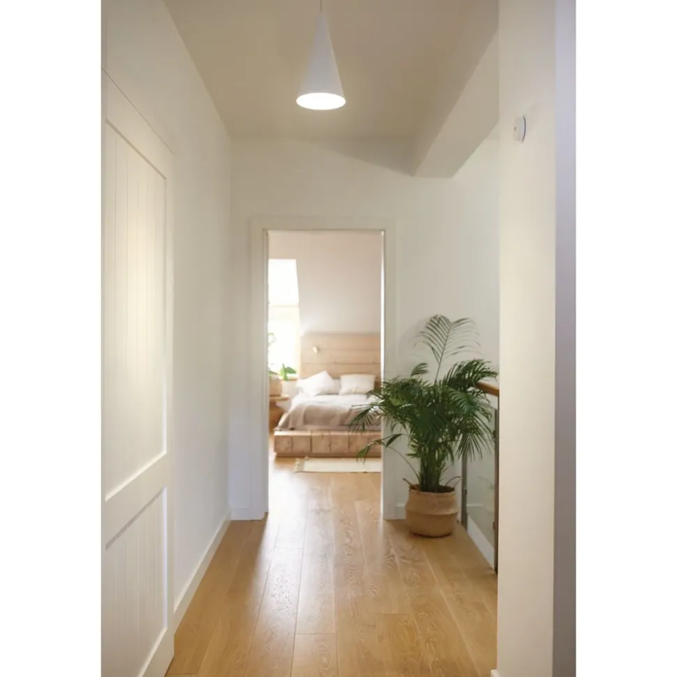 Liiketunnistin Schneider Electric Wiser Zigbee kattoasennus