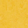 Linoleumilaatta Forbo Marmoleum Click Lemon Zest 30x30 cm keltainen