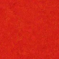Linoleumilaatta Forbo Marmoleum Click Scarlet 30x30 cm punainen