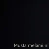 Liukuovi Nettiovi Lumo kahdella ovella alumiinikehys mittojen mukaan