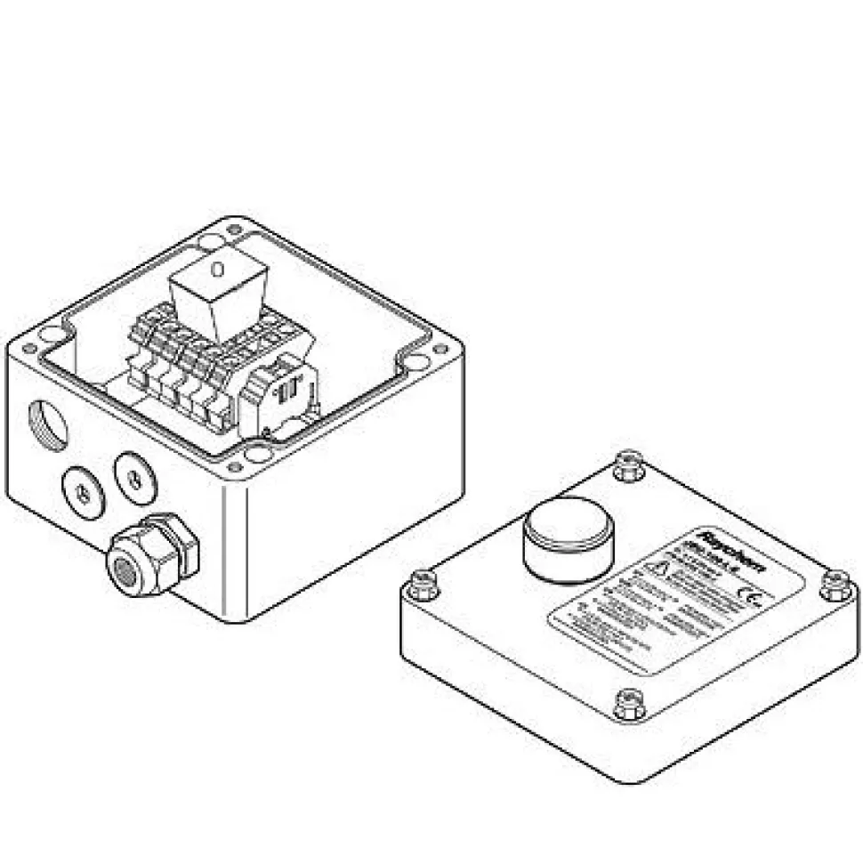 Loppupääte E-100