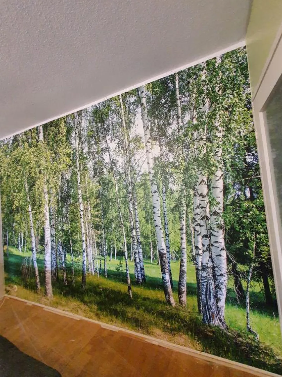 Maisematapetti Dimex Birch Grow, 375x250cm