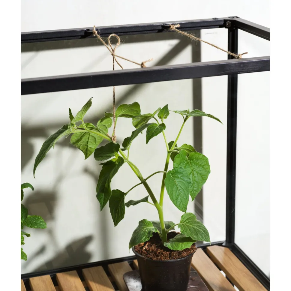 Minikasvihuone Brafab Grower Greens, 81x41x137cm