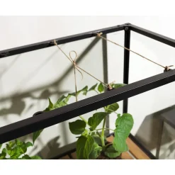 Minikasvihuone Brafab Grower Greens, 81x41x137cm