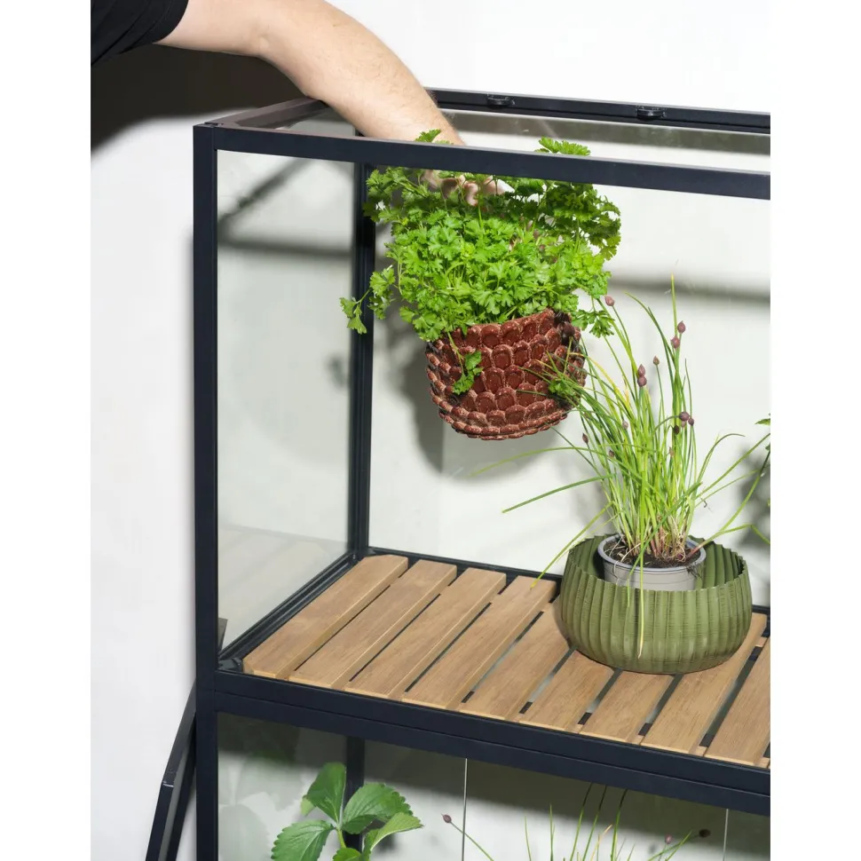 Minikasvihuone Brafab Grower Greens, 81x41x137cm