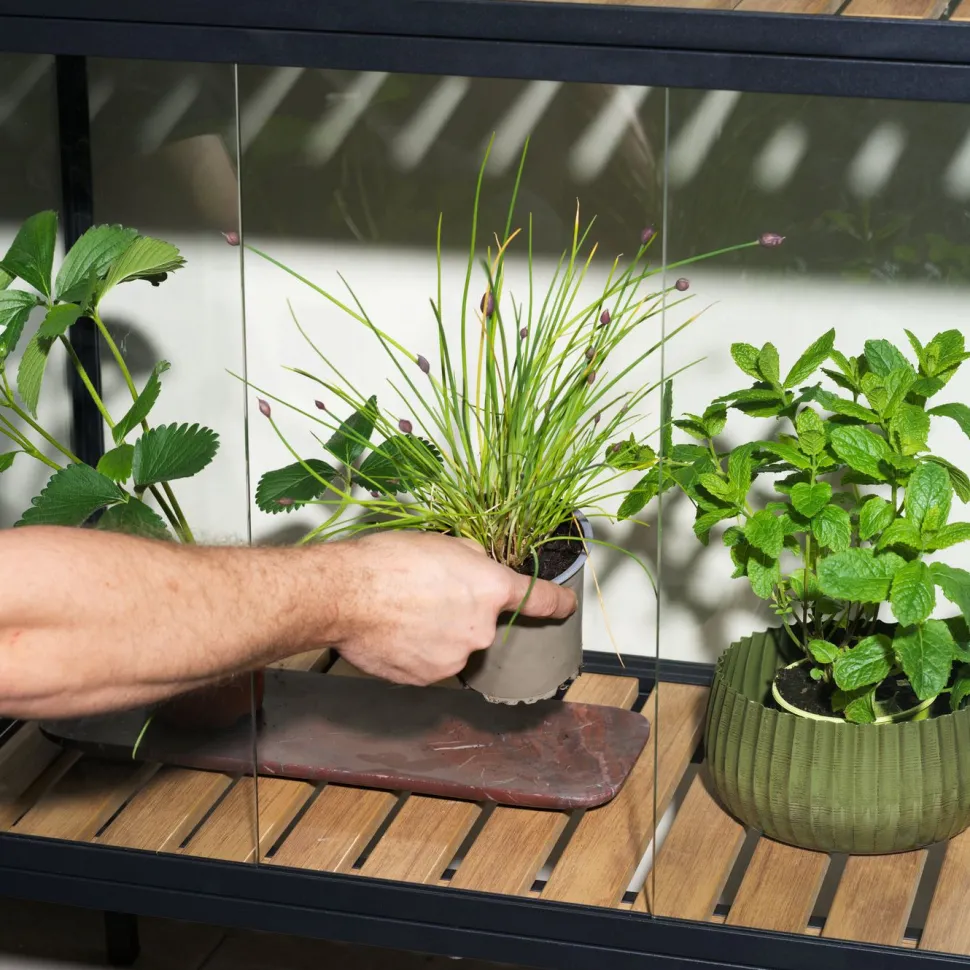 Minikasvihuone Brafab Grower Greens, 81x41x137cm