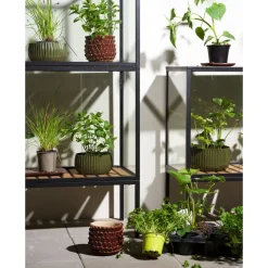 Minikasvihuone Brafab Grower Greens, 81x41x82cm