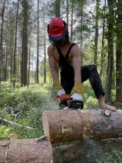 Moottorisaha Husqvarna 445 Mark II 13