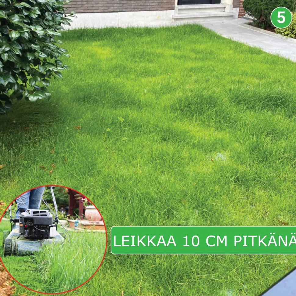 Nurmikon siemenmatto Turfquick Slänt, 40 m²