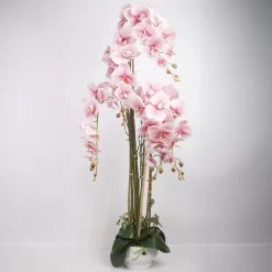 Orkidea Home4You GARDEN QUEEN K124 cm, vaaleanpunainen