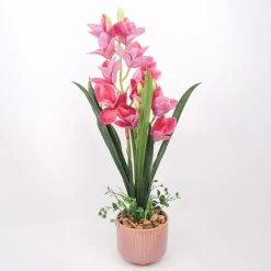Orkidea Home4You GARDEN QUEEN K70 cm, tumma vaaleanpunainen