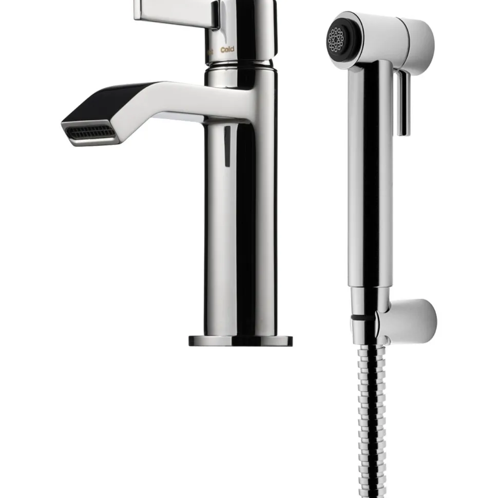 Pesuallashana Tapwell Arman ARM069 Chrome käsisuihkulla