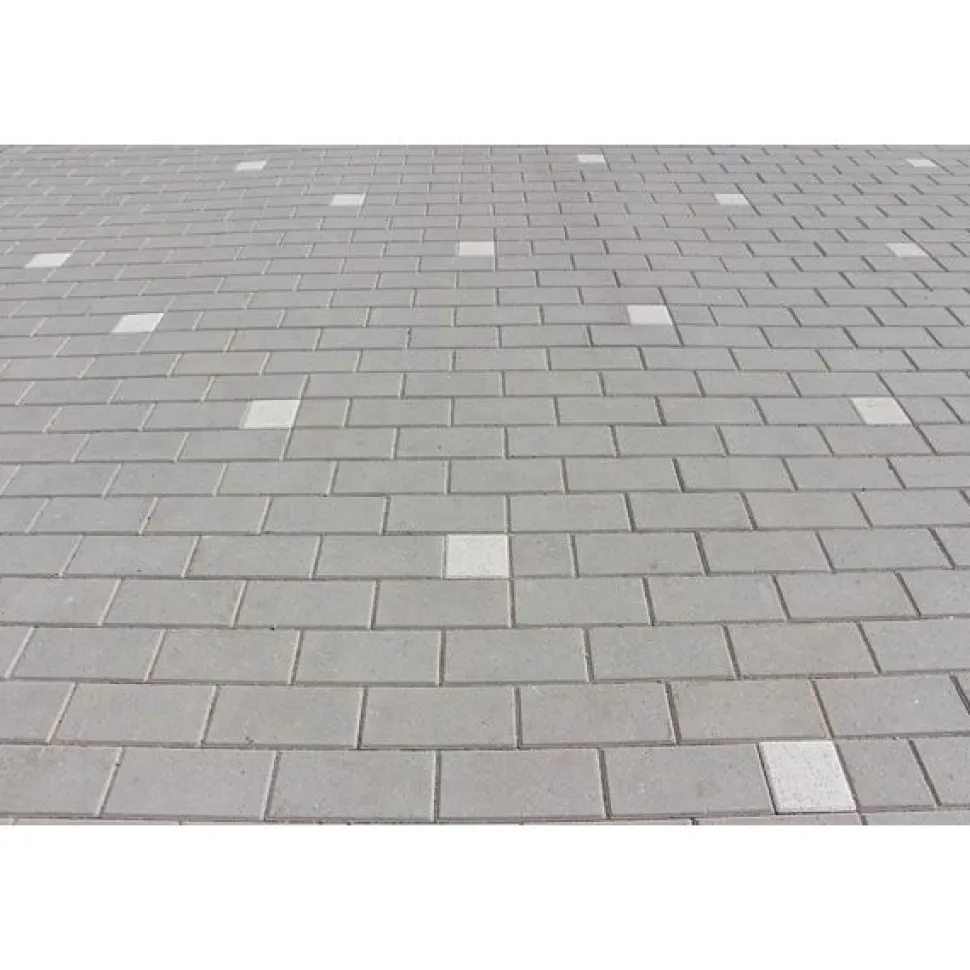 Pihakivi Rudus Kartanokivi 60 278x138x60 mm sileä harmaa