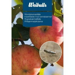 Pihlajanmarjakoiansa Weibulls