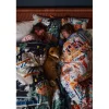 Pussilakanasetti Vallila x Linnanmäki Lintsi 150x210cm multi